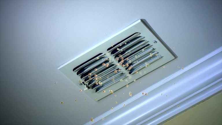 Best Affordable Duct Cleaning Services  in La Verne, CA