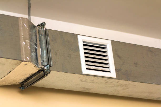Air Duct Mold Removal in La Verne, CA